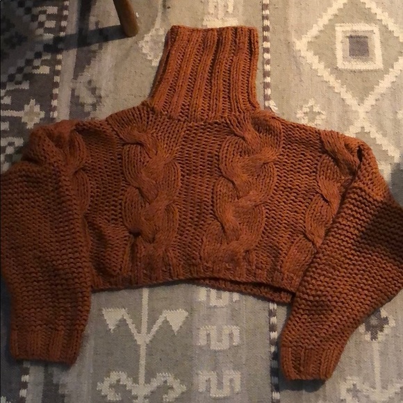 Three Bird Nest Sweaters - Three bird nest crop chunky turtleneck sweater